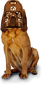 dog.png