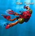 gninvert2.jpg