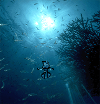 underwater.gif