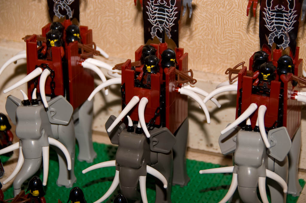 20080830_6189.jpg