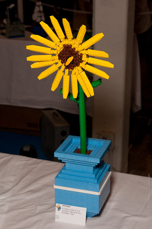 144.jpg