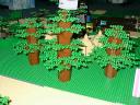 trees2.jpg