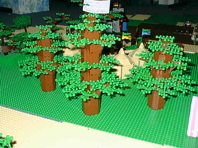 trees2.jpg