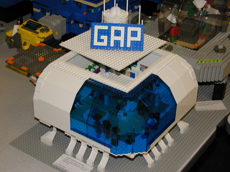 54.jpg