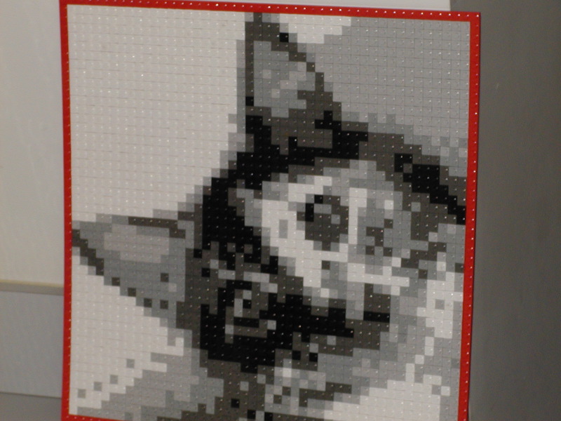39.jpg