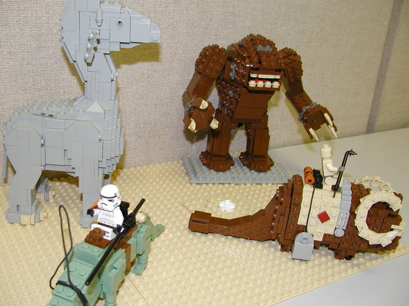 56.jpg