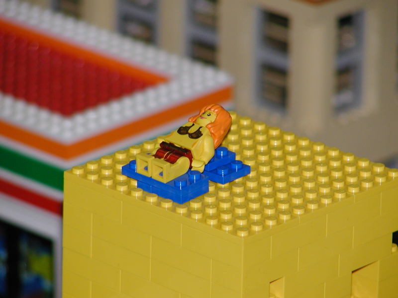 50.jpg