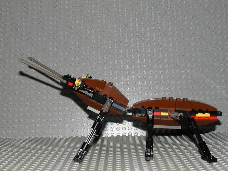 03.jpg