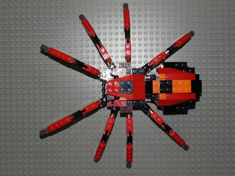 04.jpg