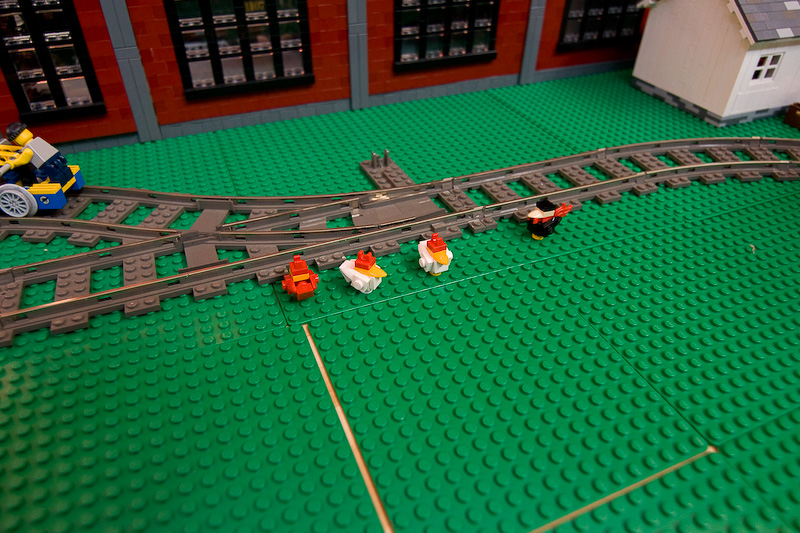 264.jpg