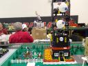 255.jpg
