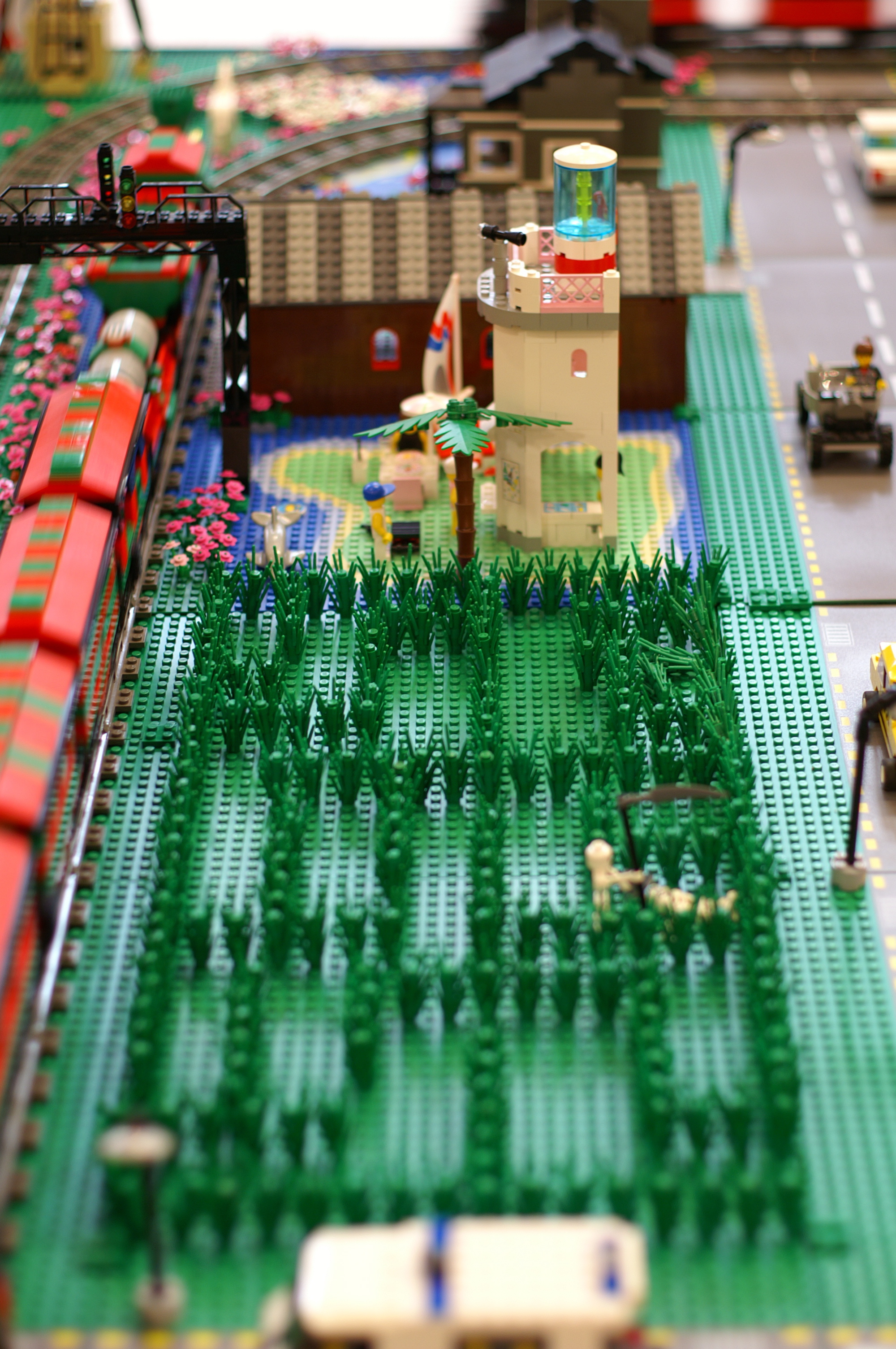 060.jpg