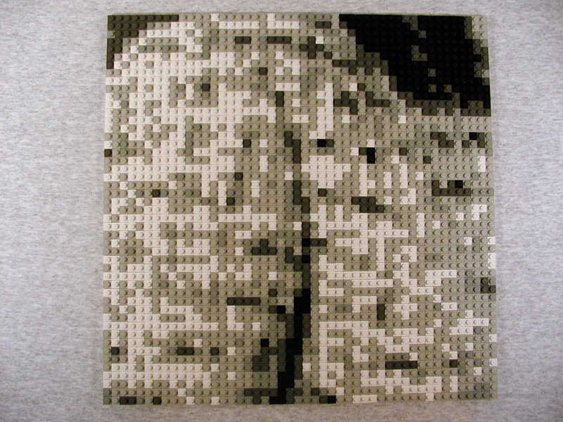 09.jpg
