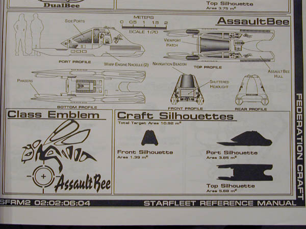assaultbee6.jpg