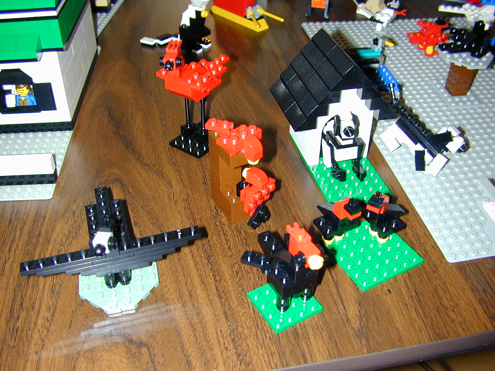 dscn0017.jpg
