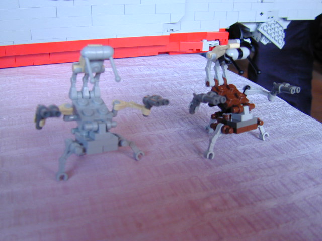 dscn0703.jpg