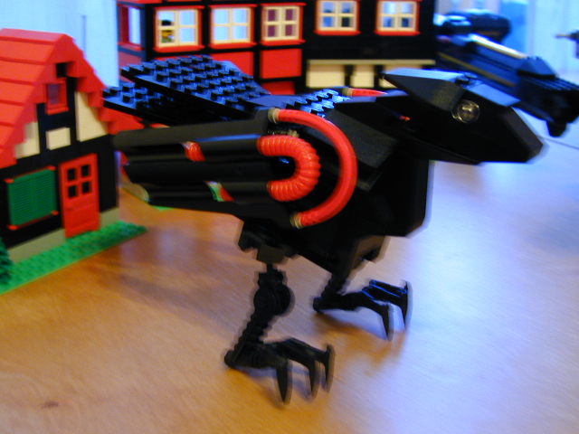 ravensblackbird.jpg
