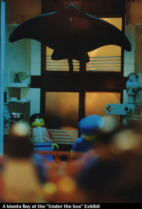 01mantaray.jpg