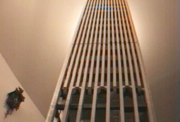 07_looking-up.jpg