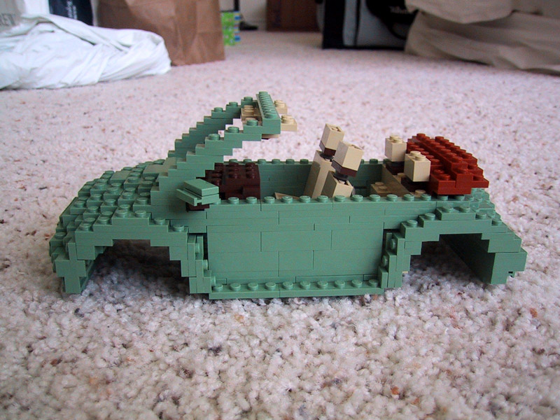 beetle-shell-2.jpg
