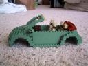 beetle-shell-2.jpg