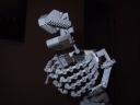002_torso.jpg