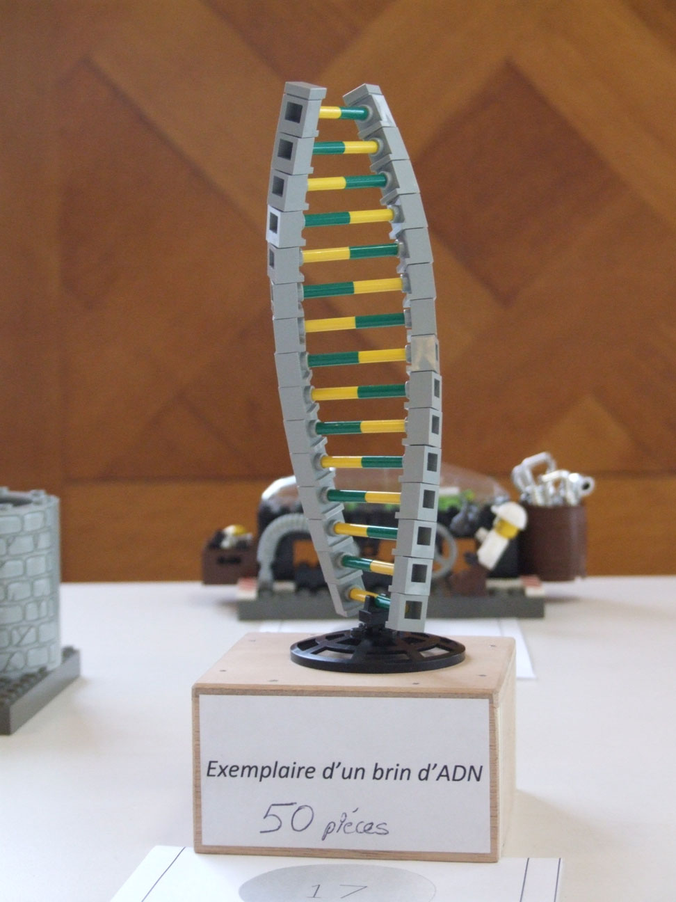 dscf0755.jpg