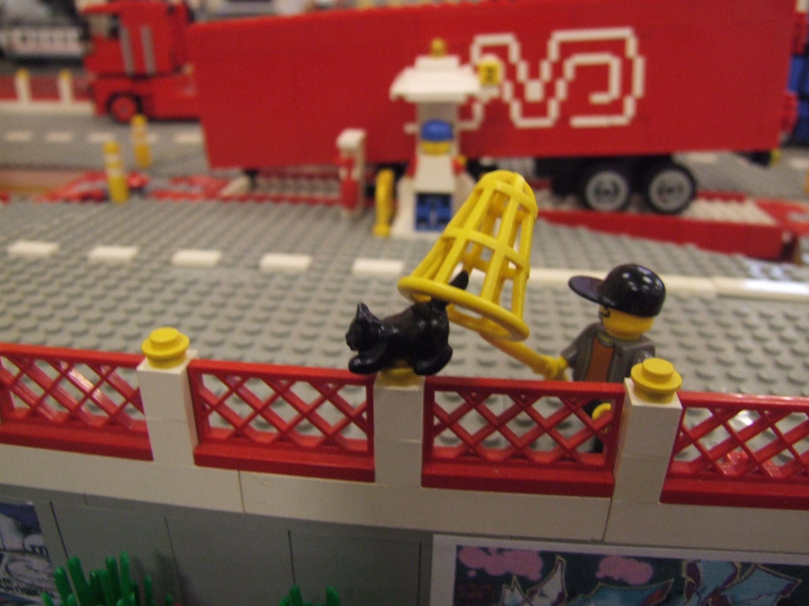 dscf0058_sh.jpg