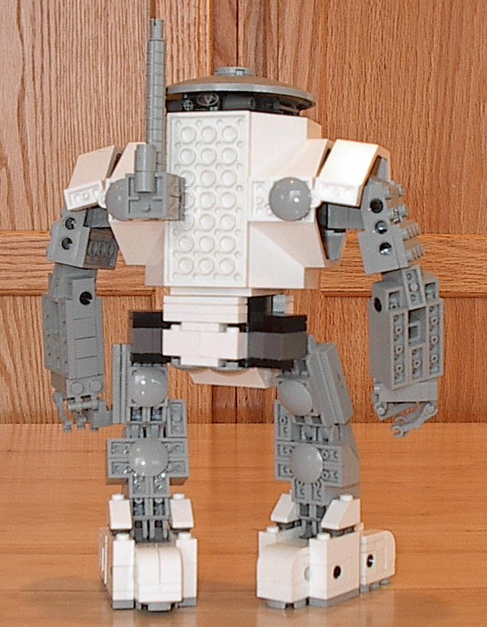 protoback.jpg