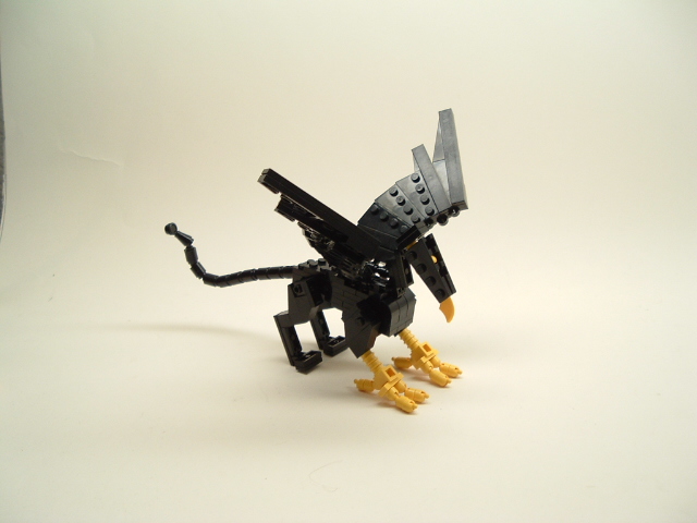 dscf1675.jpg