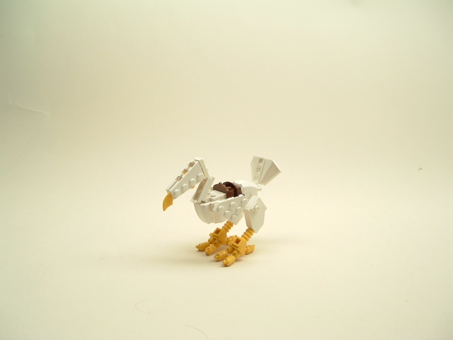 dscf1679.jpg