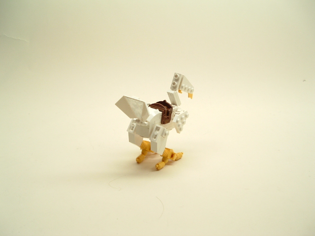 dscf1680.jpg