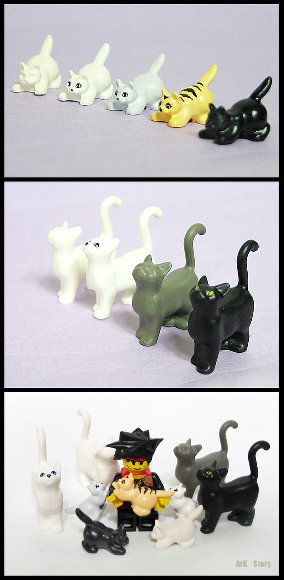 cat.jpg