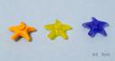 starfish.jpg