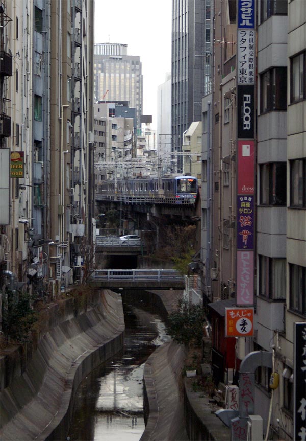 shibuya80.jpg