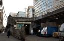 shibuya76.jpg