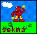 sekna.gif