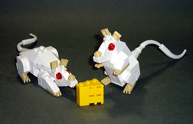 mice01.jpg