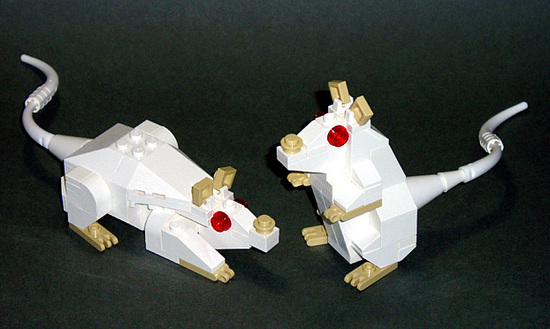 mice02.jpg