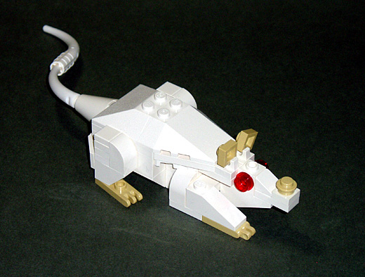 mouse2_01.jpg