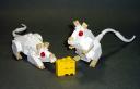 mice01.jpg