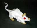 mouse2_01.jpg