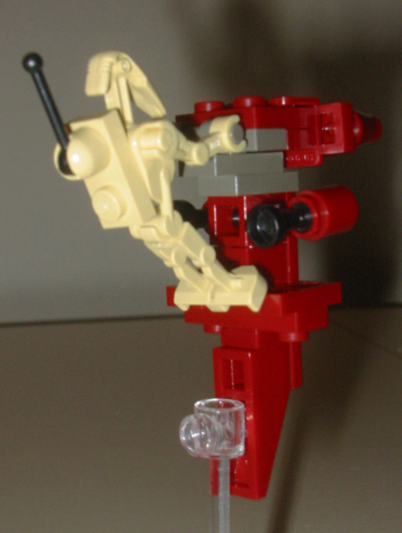 stap_rear.jpg