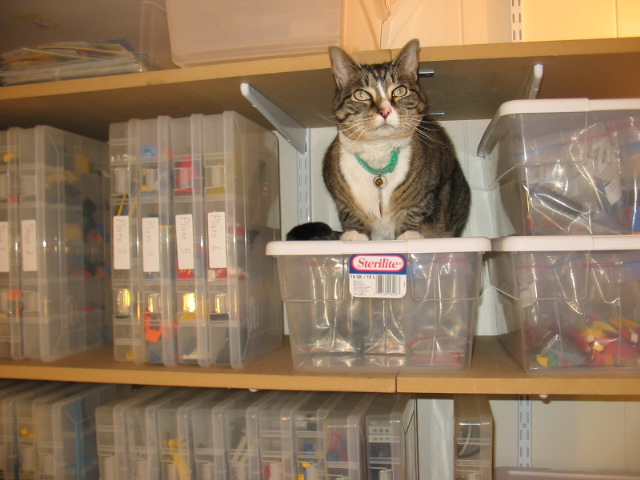 2006.02.04-taffy-on-storage.jpg
