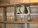 2006.02.04-taffy-on-storage.jpg