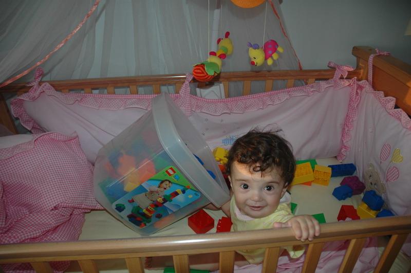 dsc_7266_resize.jpg