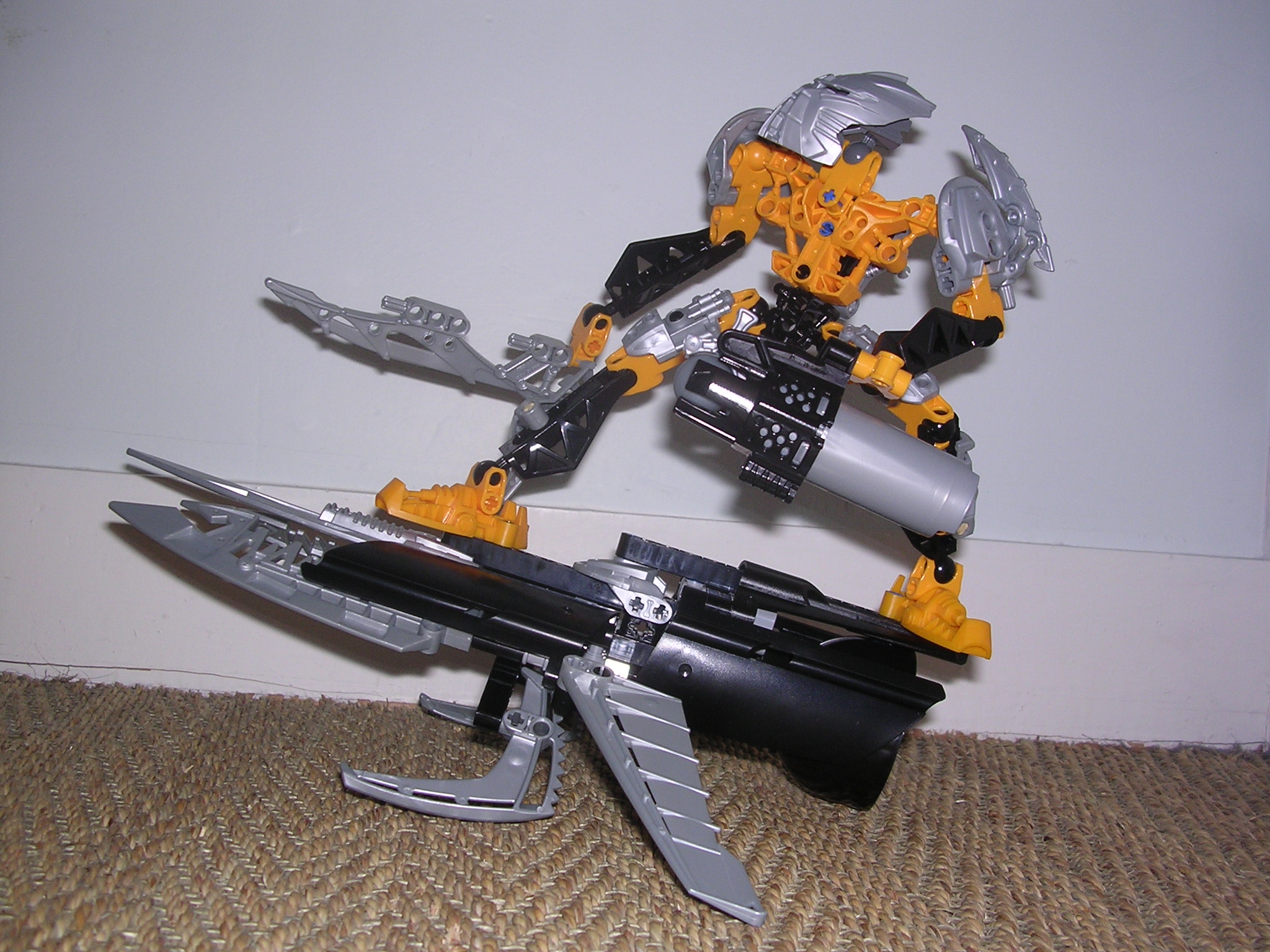 08_toa_pose.jpg