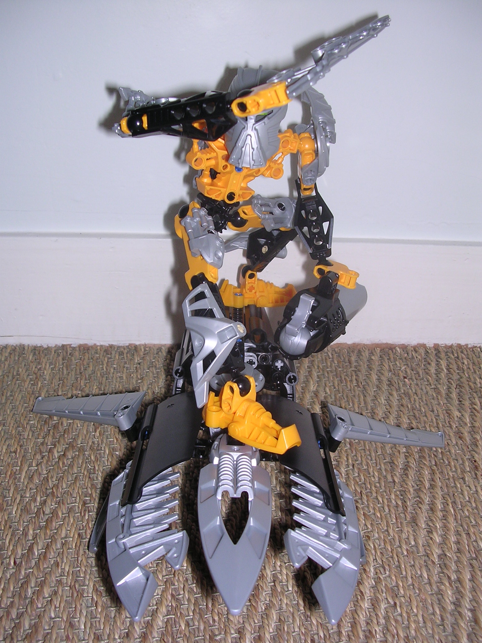 10_toa_pose.jpg