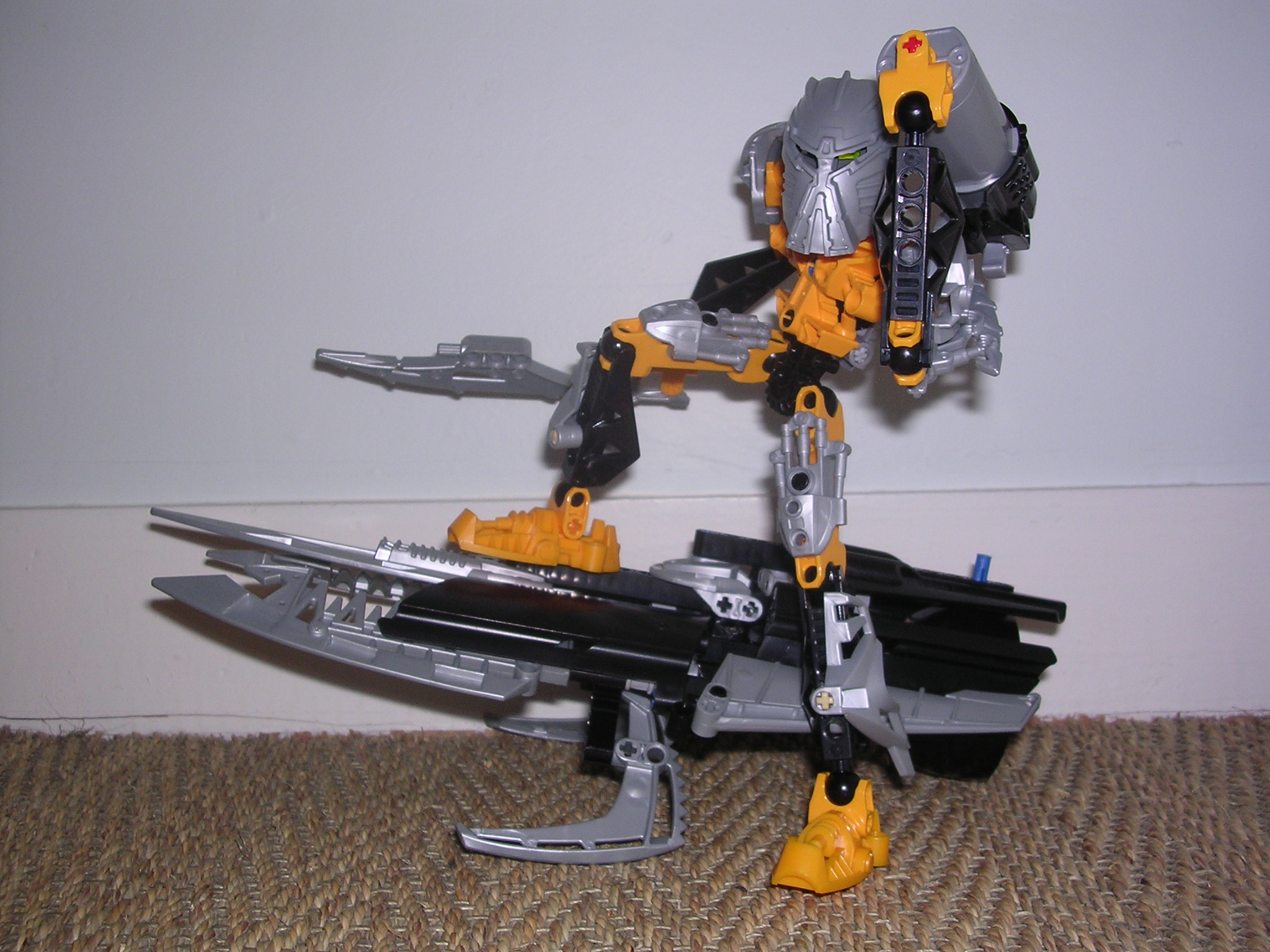 11_toa_pose.jpg