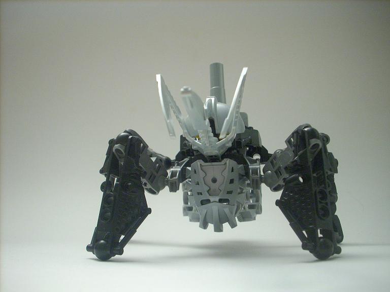 celharax_00.jpg